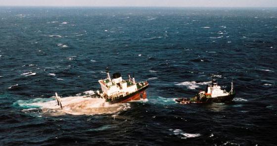 Erika_with_tug