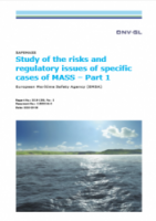SAFEMASS Study of the risks and regulatory issues of specific cases of MASS