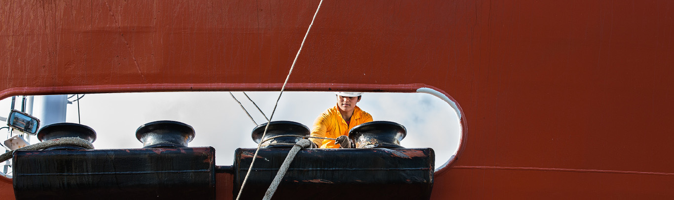 HEADER SAFETY SECURITY AND SURVEILLANCE