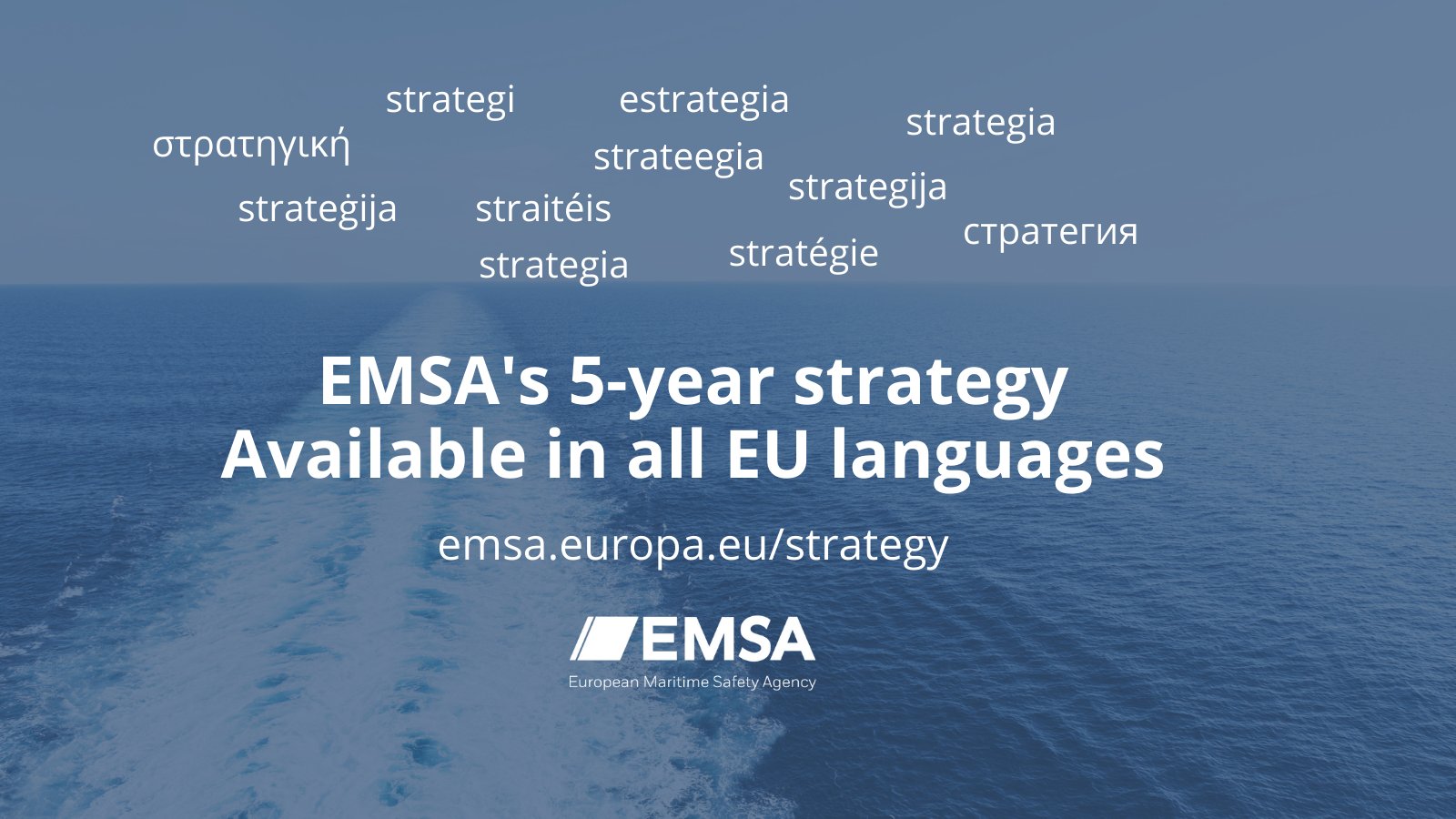 5 year strategy