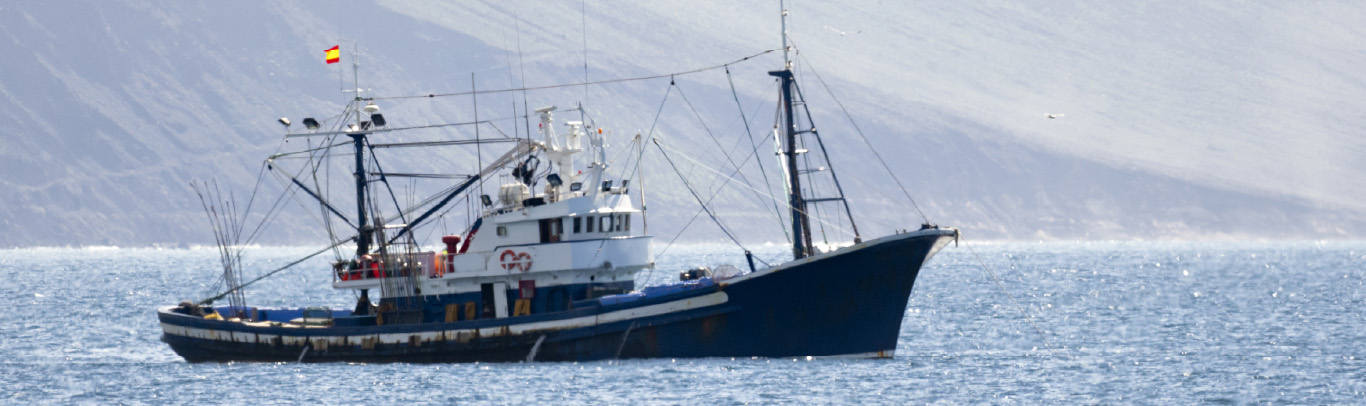 EMSAFE HIGHLIGHTS IN 24 EU LANGUAGES HEADER 100