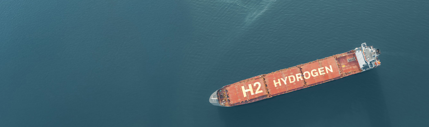 Banner Hydrogen Safety 100s