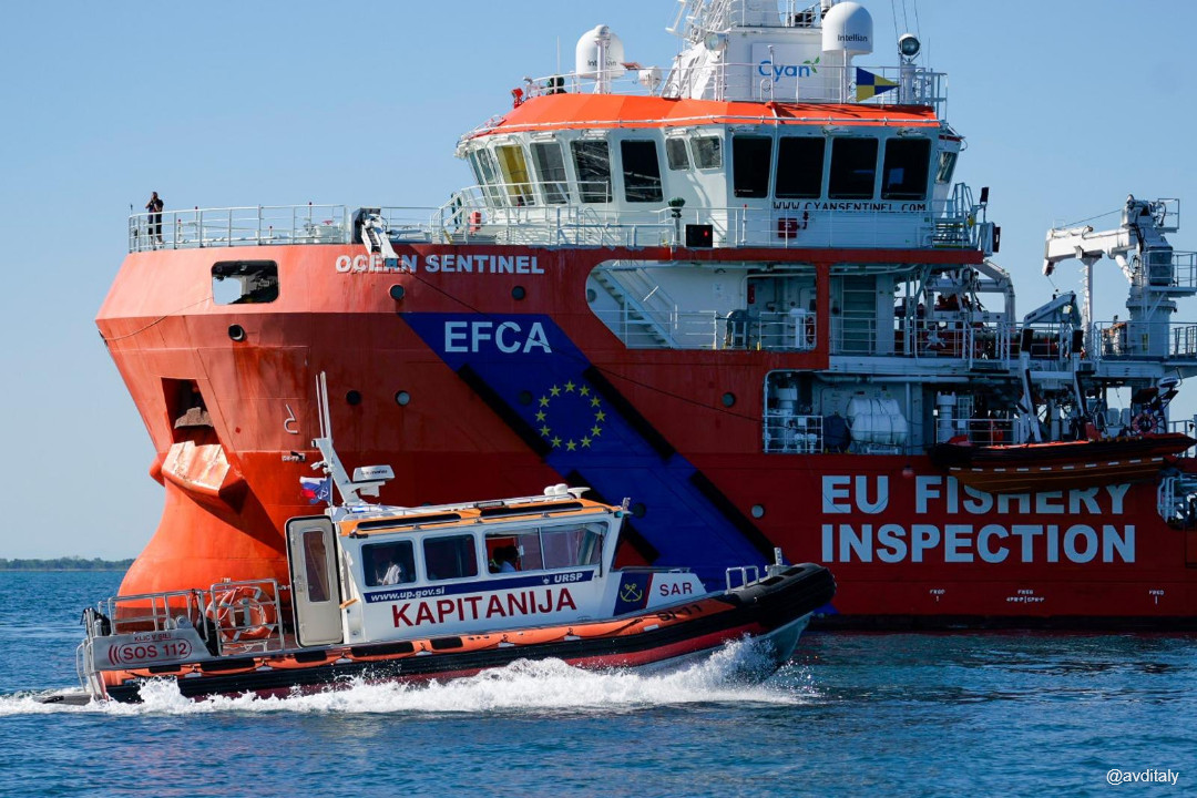 EMSA SARex2026